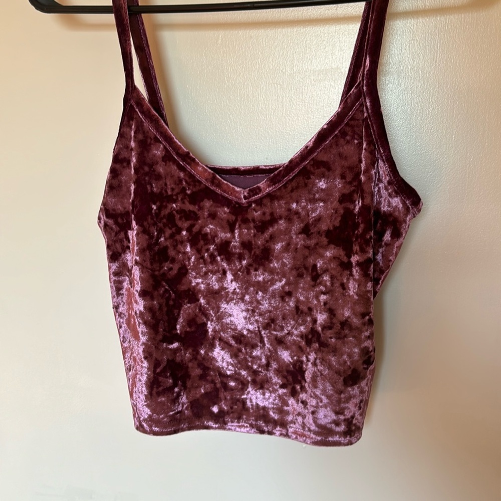 Velvety Fuchsia Crop